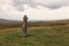 wpe79969.gif (356646 bytes)