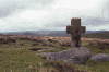 wpe52255.gif (150795 bytes)