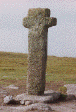 wpe52220.gif (113886 bytes)