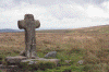 wpe70210.gif (157350 bytes)