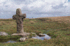 wpe45837.gif (176304 bytes)
