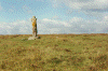 wpe89617.gif (323322 bytes)